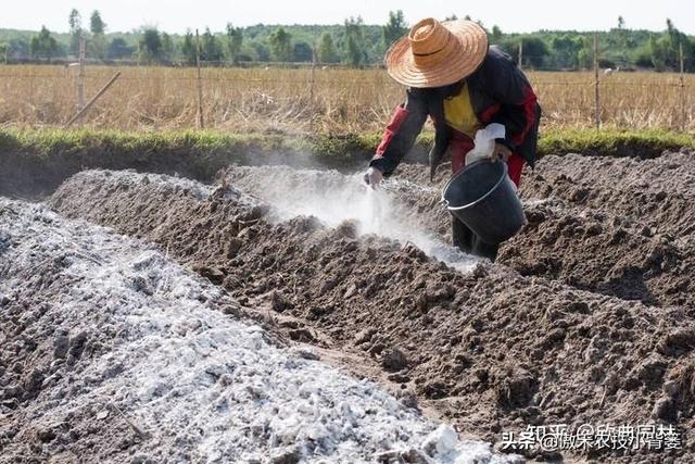 我国耕地土壤“南酸北碱”：酸性土壤和碱性土壤怎样施肥效果好？12