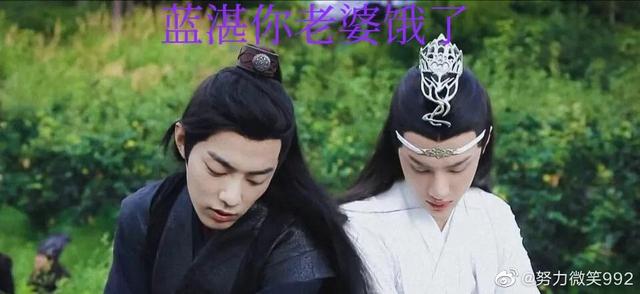 你赠我狗尾巴草，我为你戴芍药花