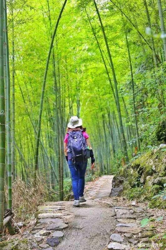 广东团建有