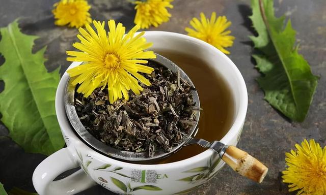中药又立功？蒲公英可消灭98%癌细胞、消结节？看完您就清楚了