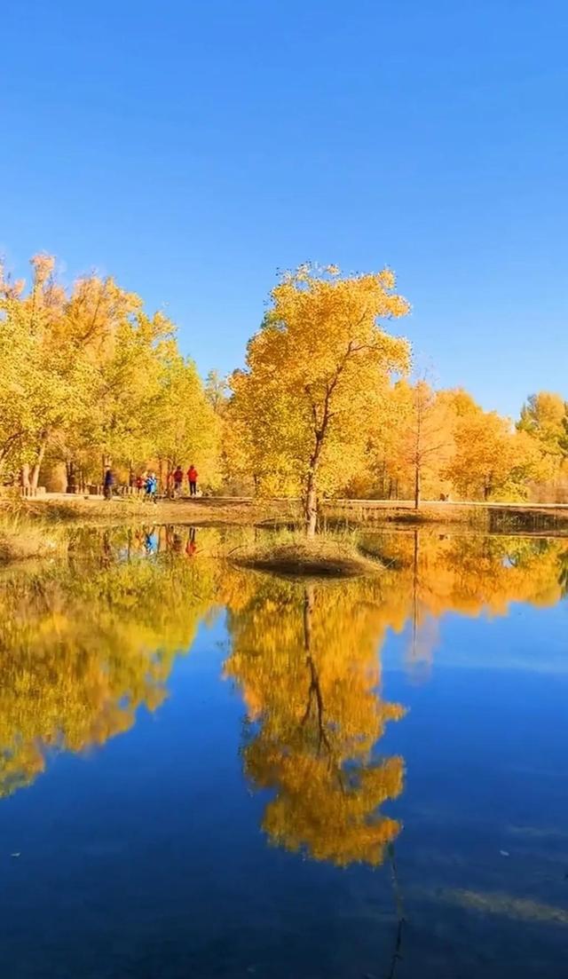 唯美壁纸 不仅景色美 倒影更美 最美手机壁纸 全网搜