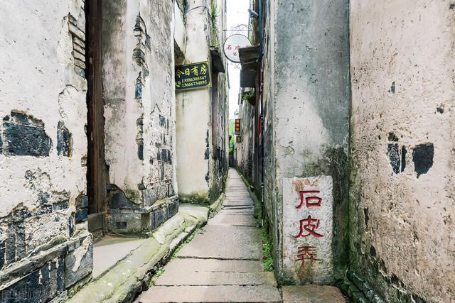 忙裏偷閑夢回水鄉西塘鎮，尋千年的蛇百年的烏龜