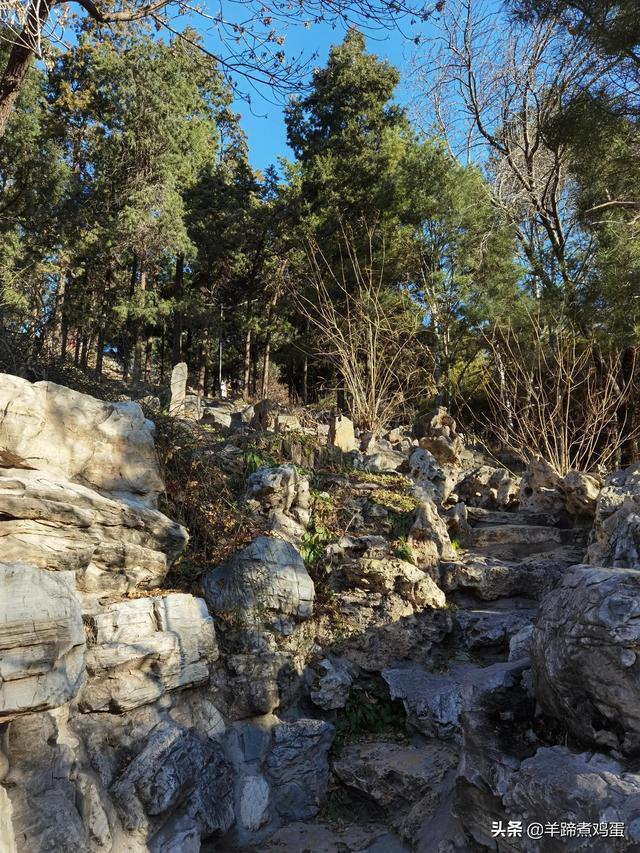 一隅山水鬧市藏 精巧布景多風光——北京東單公園冬日時光