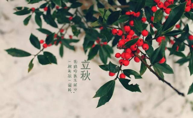 手绘：X天体运行时节角度
