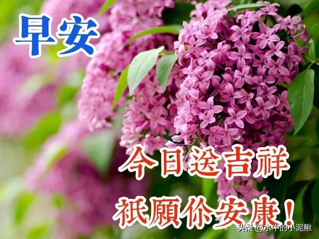 微信早安<a href=https://maguai.com/list/46-0-0.html target=_blank class=infotextkey>语录</a>正能量句子 早安图片激励语