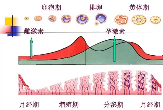 在太空6个月，航天员怎么处理卫生问题？回来身上是不是臭的？