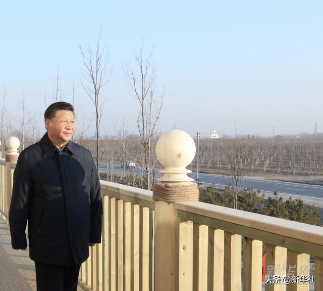 镜观·领航丨雄安新区这五年