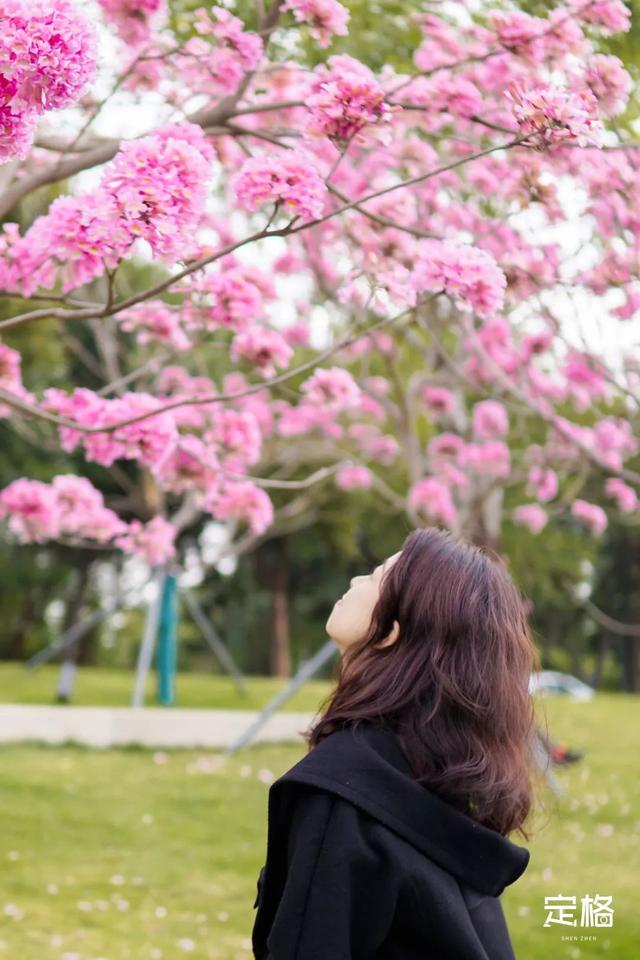 海口洗砂机价格