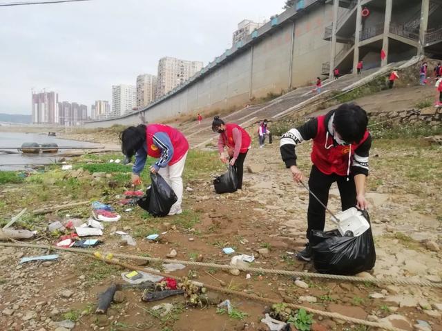 社会实践单位意见