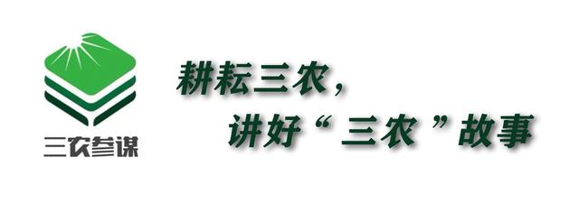 农业种植致富信息（农业频道致富经种植业）