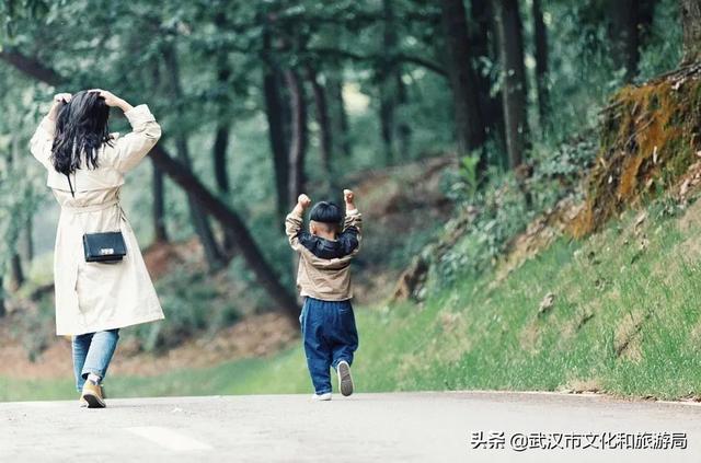 母亲节福利 | 特惠门票闭眼入！武野直播间里等你哟！