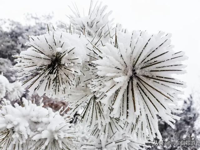 南阳螺旋洗砂机图片
