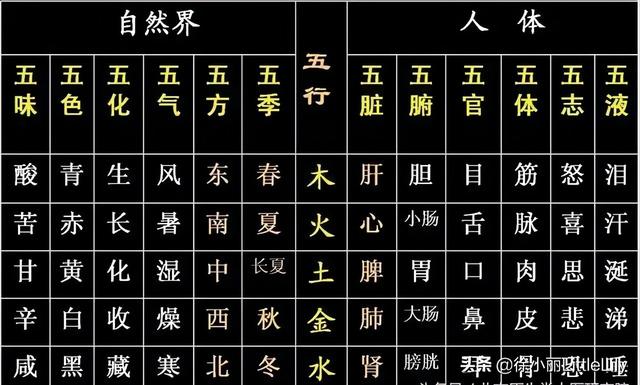 黄帝内经中五行指的是什么意思？