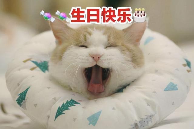 云凤凰朋友圈修改定位高级又沙雕的生日祝福