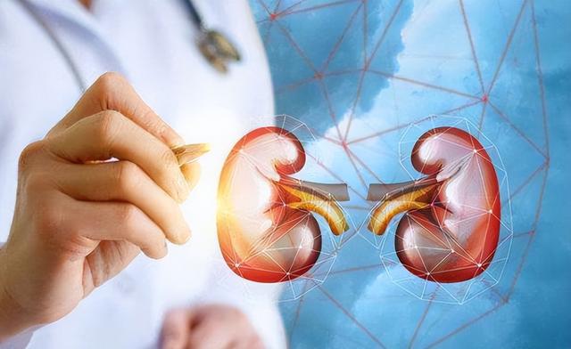 2个中成药，降糖、降尿蛋白、抑制肾损伤，辅助治疗糖尿病肾病