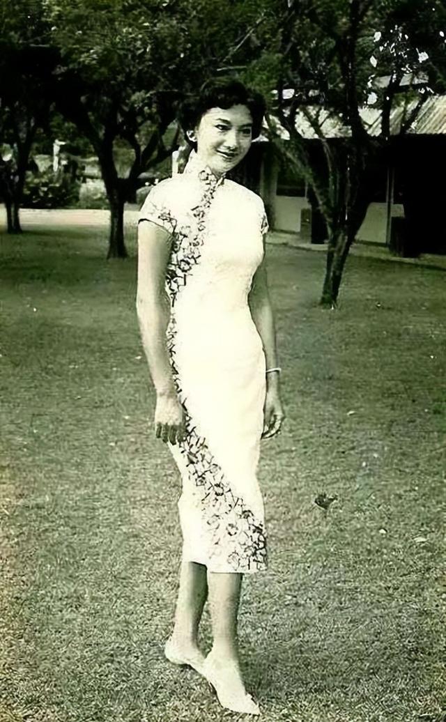 ���ε�ӰϷ�ĸ���Ŀ(��һ�������п��Ⱥձ������Σ�����ʱ�޶����ף�ĺ����Ƕ�ׯ����)