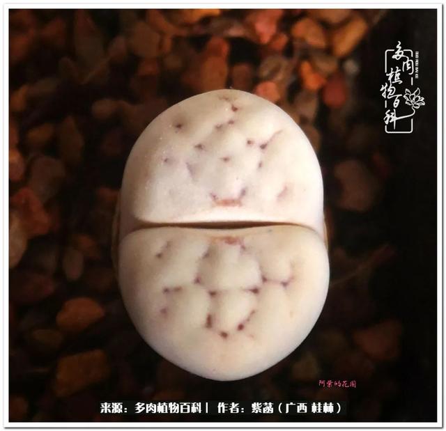 大型制砂机给力富贵机械