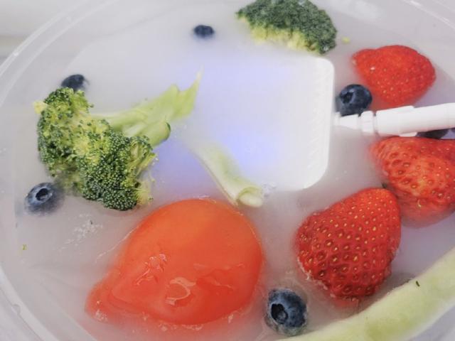 果蔬净化器真的比手洗得更干净？三款热门果蔬净化器对比测评