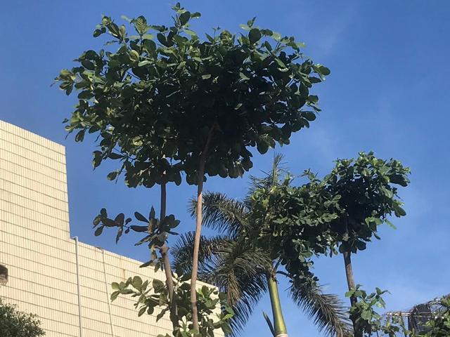 成为母亲的今天，我的人生多了一个“第一次”