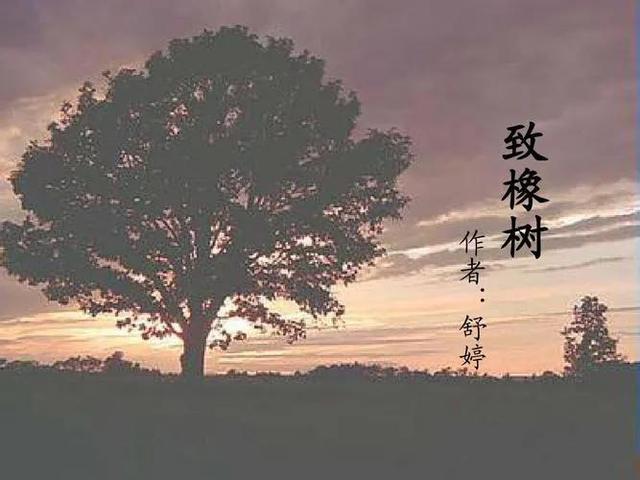 来自文学作家的浪漫