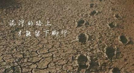 最清晰的脚印，往往印在最泥泞的道路上