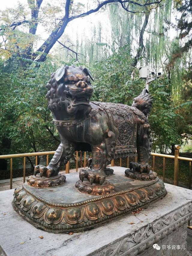 暢觀樓前的一對銅獸 百年前竟然能噴水
