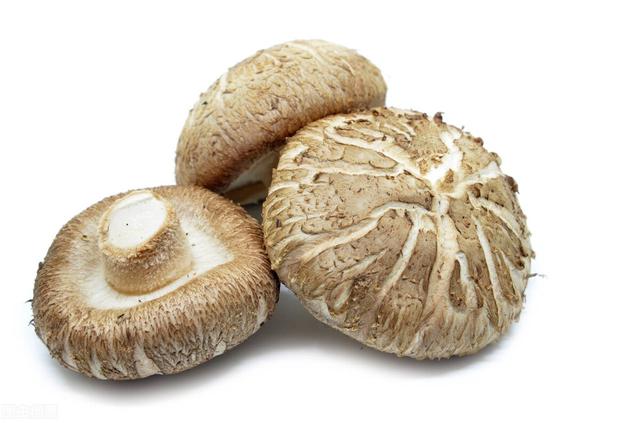 15种帮你抵御慢性疾病最佳的健康食品
