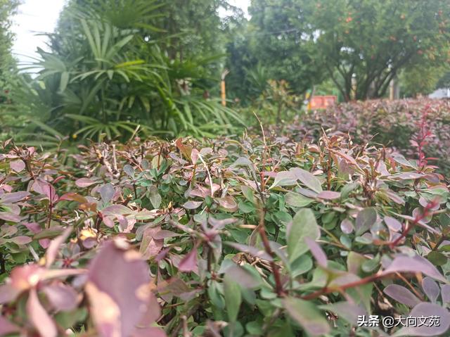 漫步红尘，远离小人
