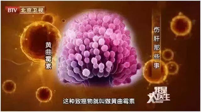 博达花生油过滤机