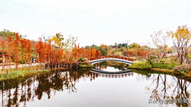 金堂光霧山！私藏在這處公園裏的冬日幻境