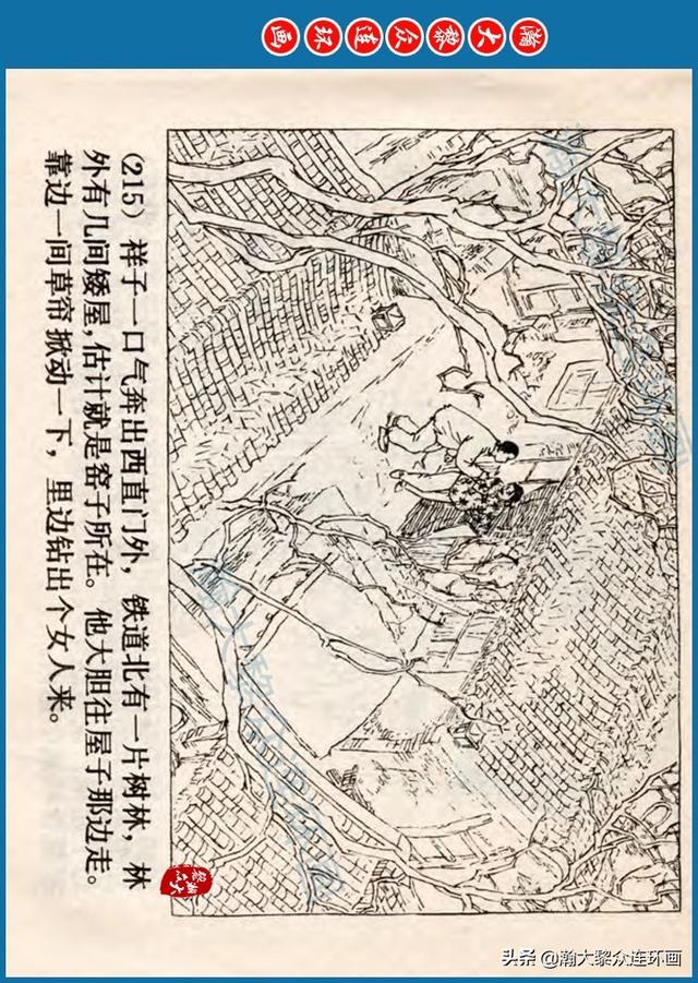 骆驼祥子插图简笔画 骆驼祥子插图简笔画