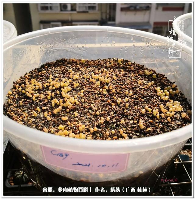 桂林滚筒式洗砂机厂家