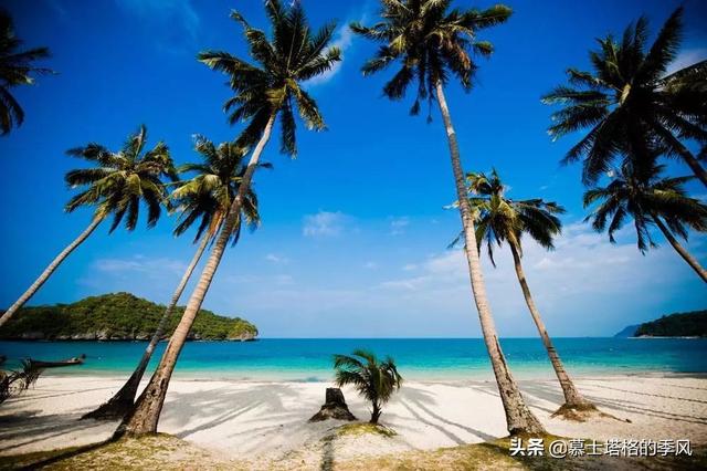 海南西線有一座被低估的縣城，區位好環境佳，適合老年人避寒過冬