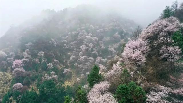 百色单螺旋洗砂分级机报价