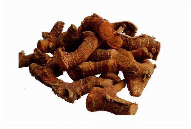 马姜的功效与作用图片马博士聊本草女科要药六姜的故事神奇的姜