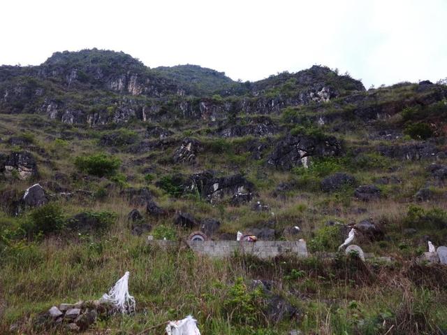 89年放牛娃山上捡大量现金，意外牵出连环血案，警方连夜全国通缉
