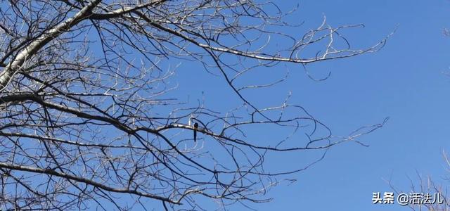 明日大雪：全年阴气最盛的时候，做好这2件事，保护阳气平安过冬