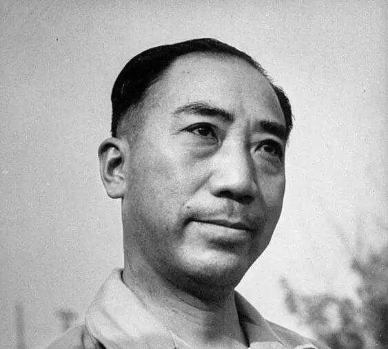 张学良晚年两次见杨虎城孙子，态度冷淡，杨瀚：他对过去不堪回首