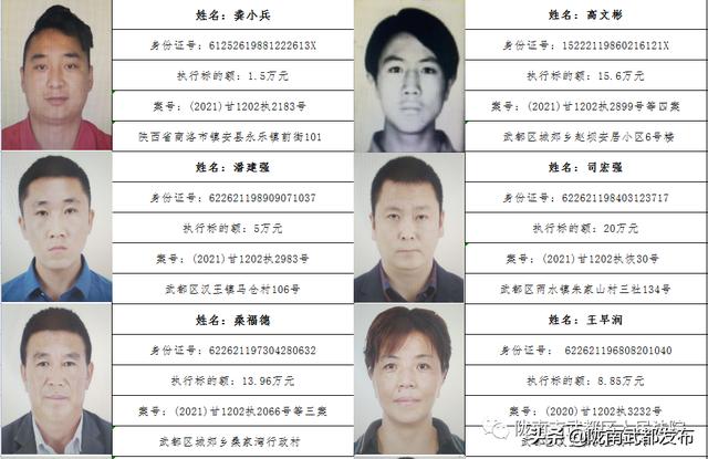 曝光! 武都区法院公布2022年第一批失信被执行人名单（172人）