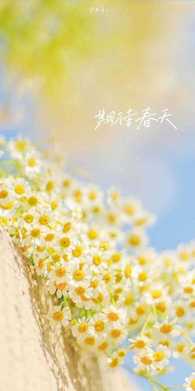 春天没有方向，春天只顾开花