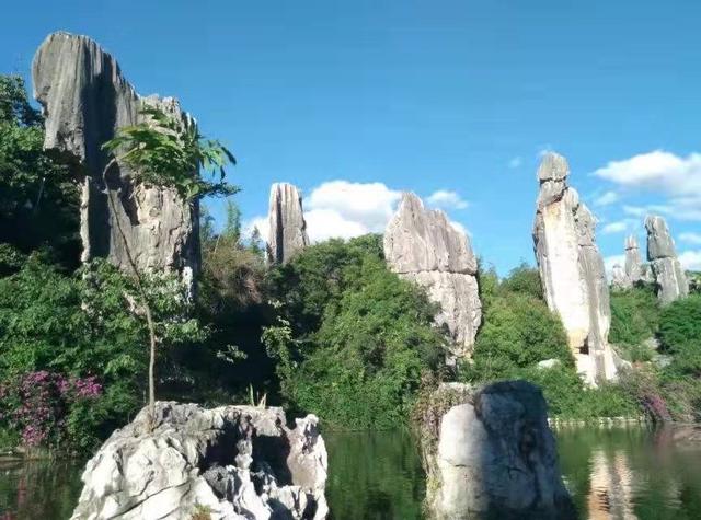 山海有歸期，相逢雲南，雲南恢複跨省旅行您最想去哪裏？