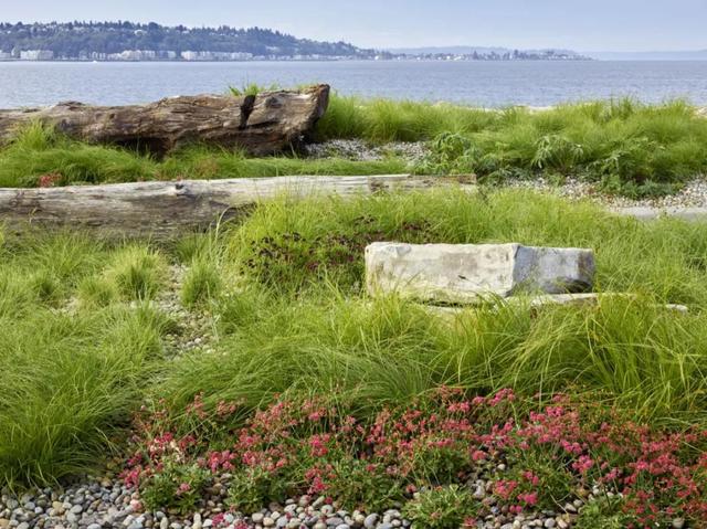 Expedia集團開發的濱海公園，讓遊客沉浸在自然沿海景觀中