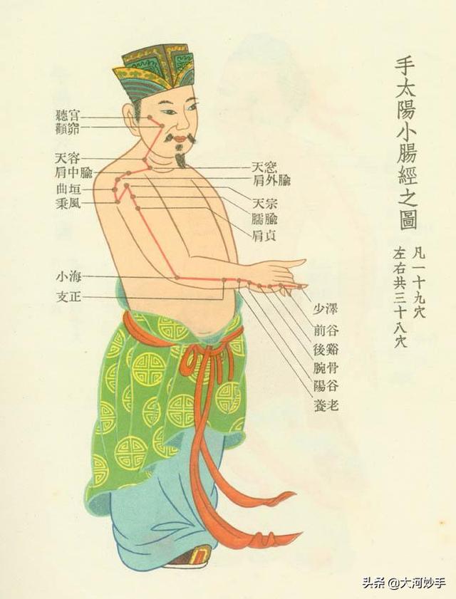 中医精美3D经络图，手太阳小肠经，大河养生古法八段锦必备