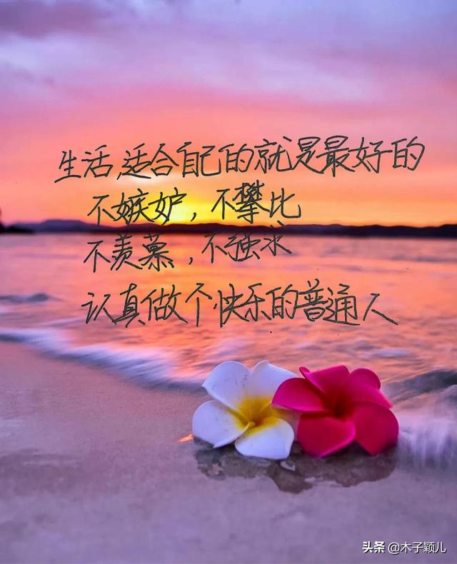 抄书有收益第17天：不羡慕，不强求，认真做个快乐的普通人