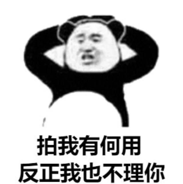 微信出拍了拍你是什么意思