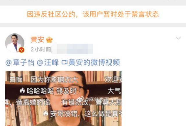 章子怡霸气回应离婚！造谣者将被直接起诉，艺术家黄安在道歉后被禁。
(图4)