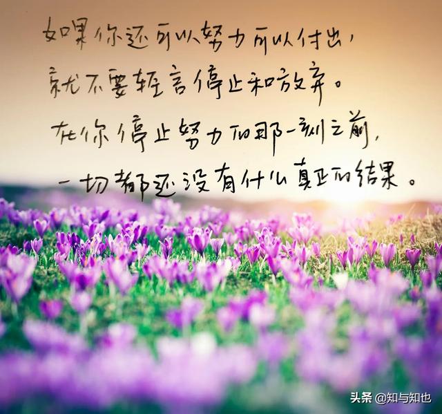 抄书82天，每日寄语6（努力创造自己想要的生活）