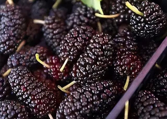 女人更年期别“节俭”，补充雌激素，这6种食物或可多吃