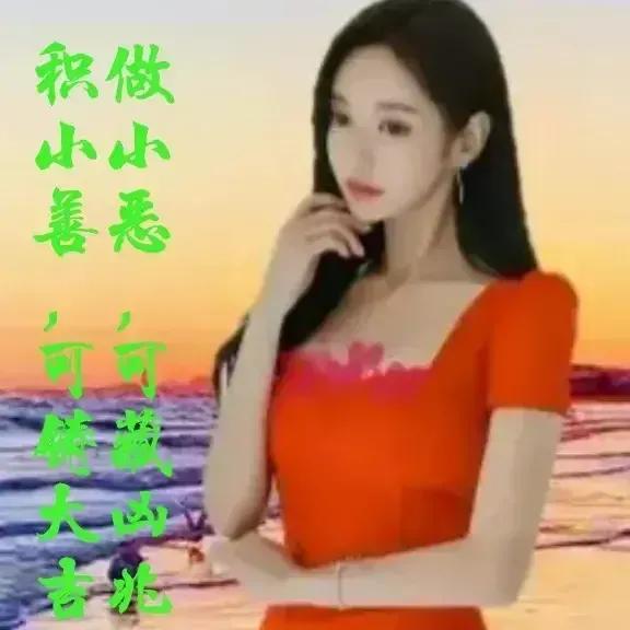 相遇红尘，浅夏花开