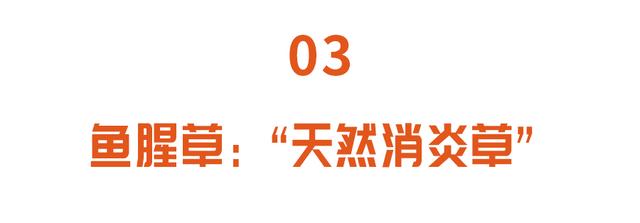 鲜嫩时是菜，晒干后能入药！这些好处多多的野菜可别错过